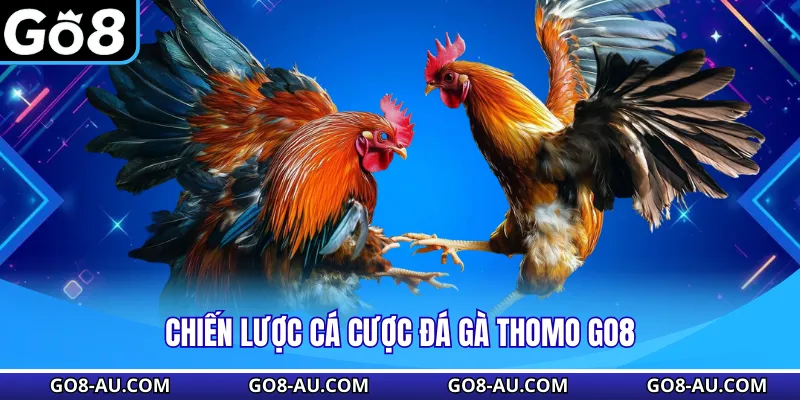 Chiến lược cá cược đá gà Thomo GO8