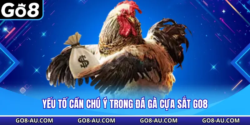 Yếu tố cần chú ý trong đá gà cựa sắt GO8